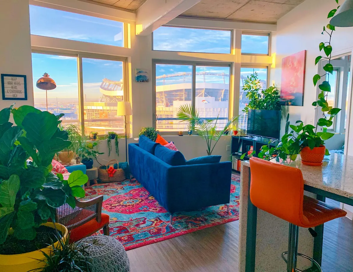 A sunlit room full of plants