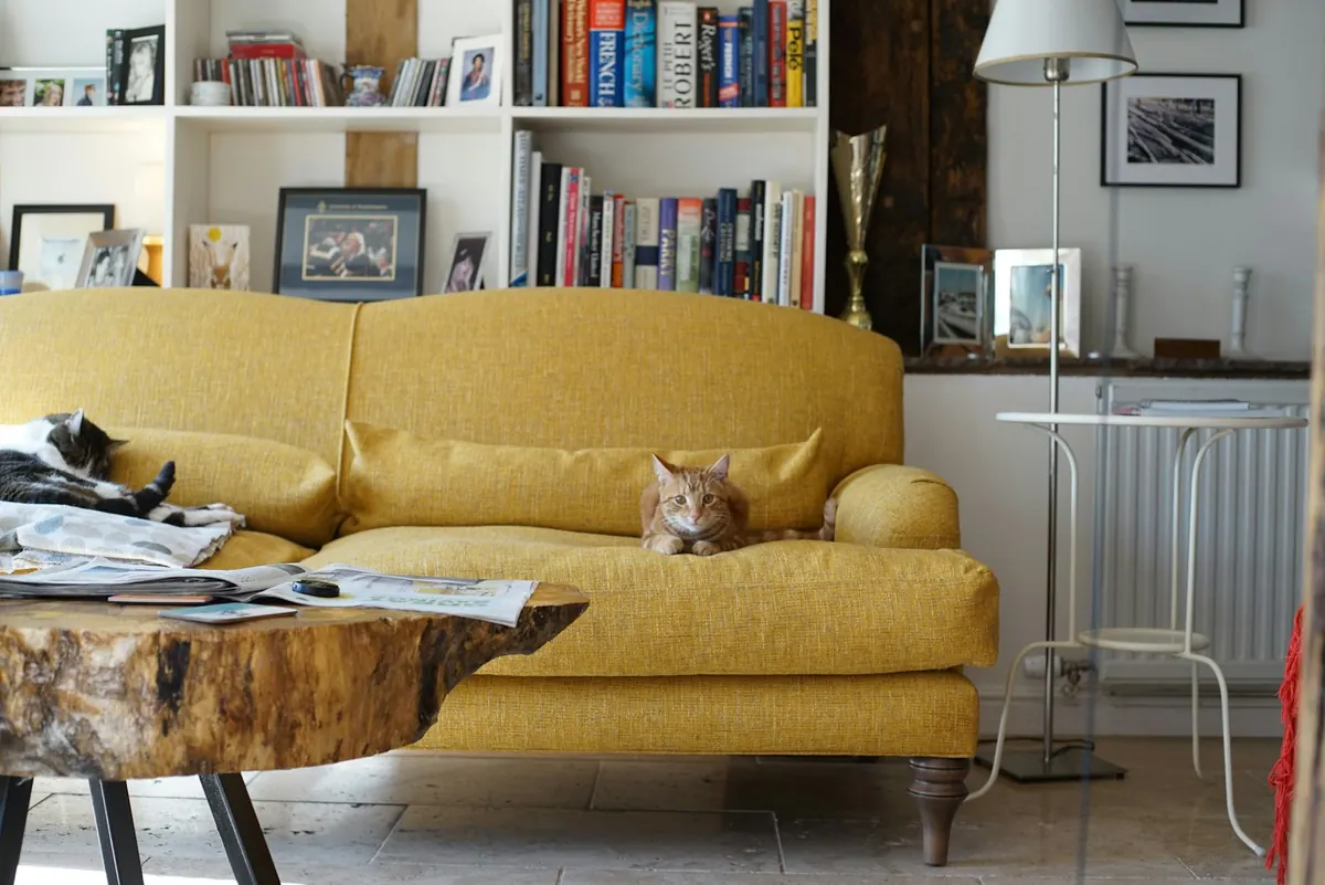 A yellow sofa in a bright living room